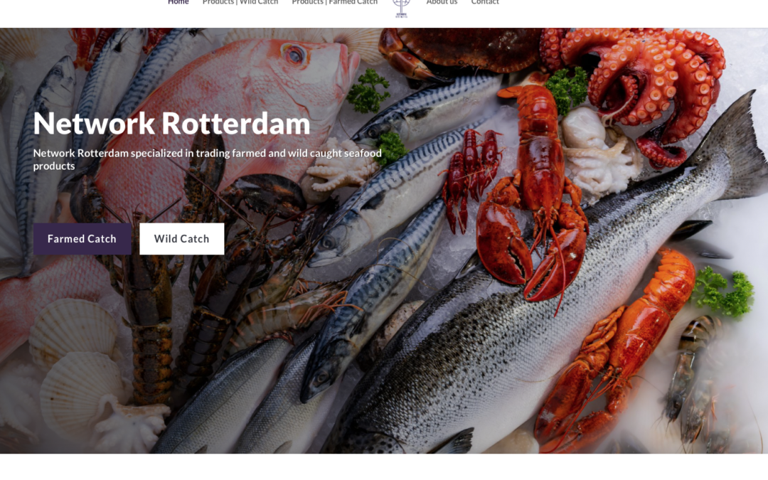 Network Rotterdam